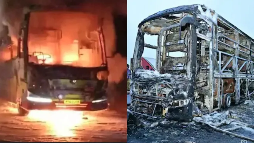 bus collage