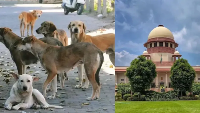 supreme-court-on-stray-dogs-2025-11-03-14-45-58