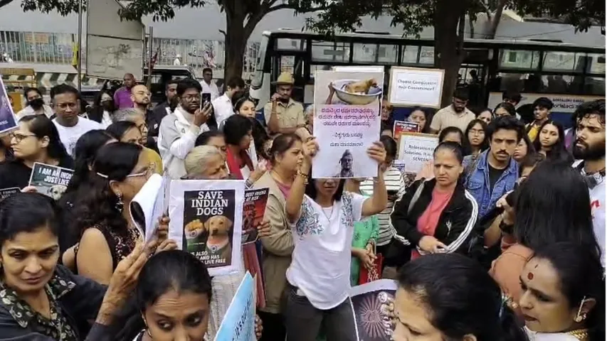 protests for dogs against gba