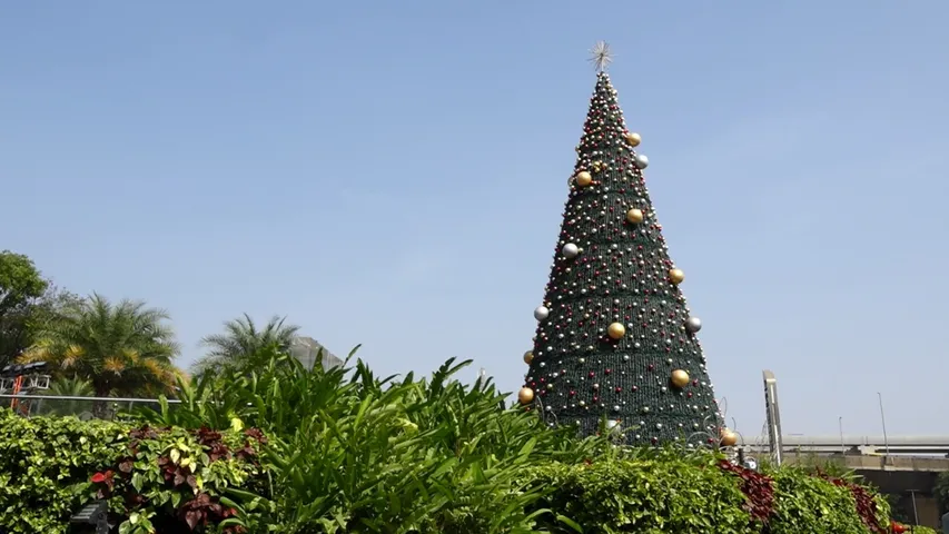 christmas tree bengaluru