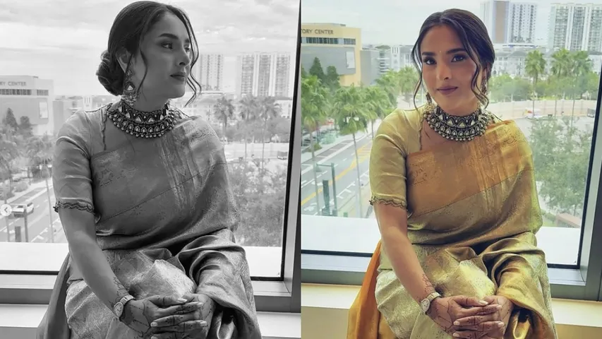 ACTRESS RAMYA ABOUT SUPREME COURT SRAY DOGS ORDER