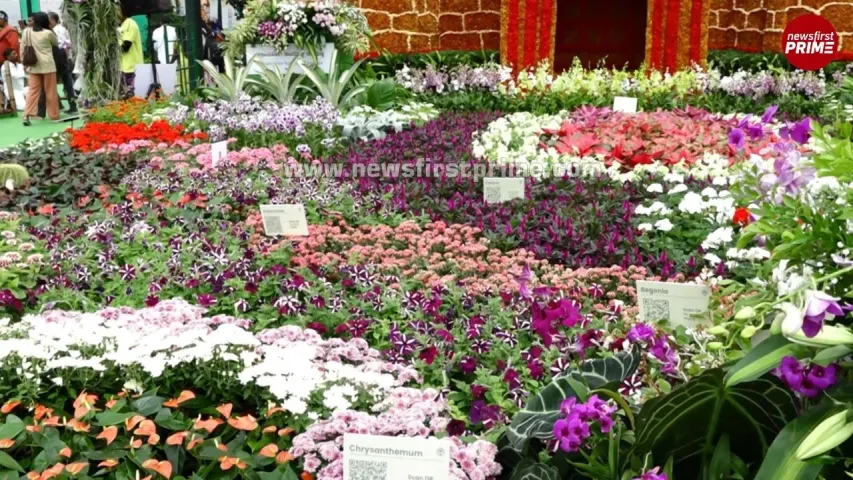 independence-day-lalbagh-flower-show-2025-3-1-2025-08-08-15-00-09