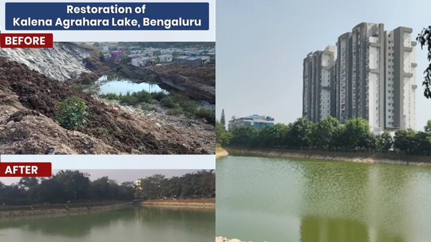 kalena agrhara lake revival bengaluru