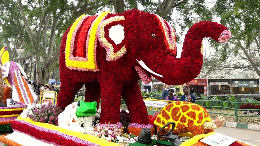 LALBAGH FLOWER SHOW