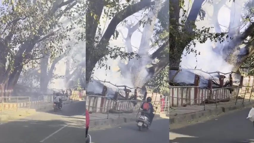 bengaluru gba dry twigs