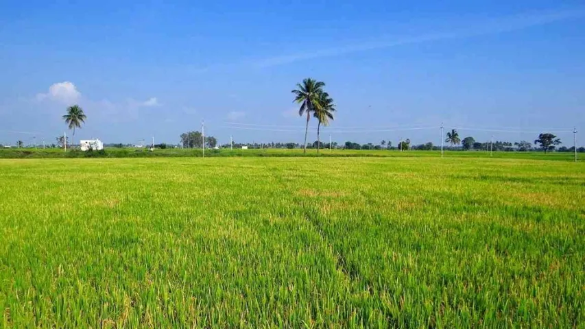 AGRICULTURAL LAND