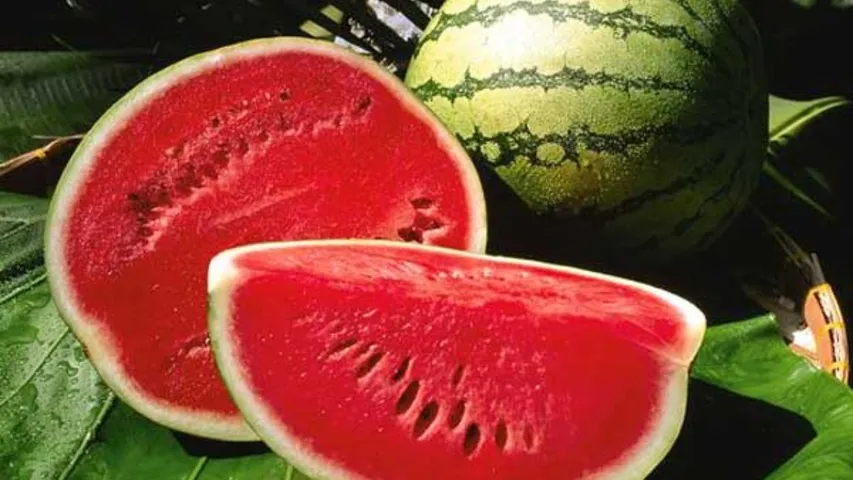 artificially coloured watermelons