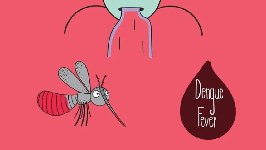 BBMP to intensify index survey of dengue in Bengaluru