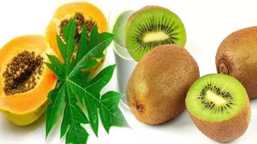 Suffering from Dengue? Try these 7 fruits and vegetables to quickly recover from it!