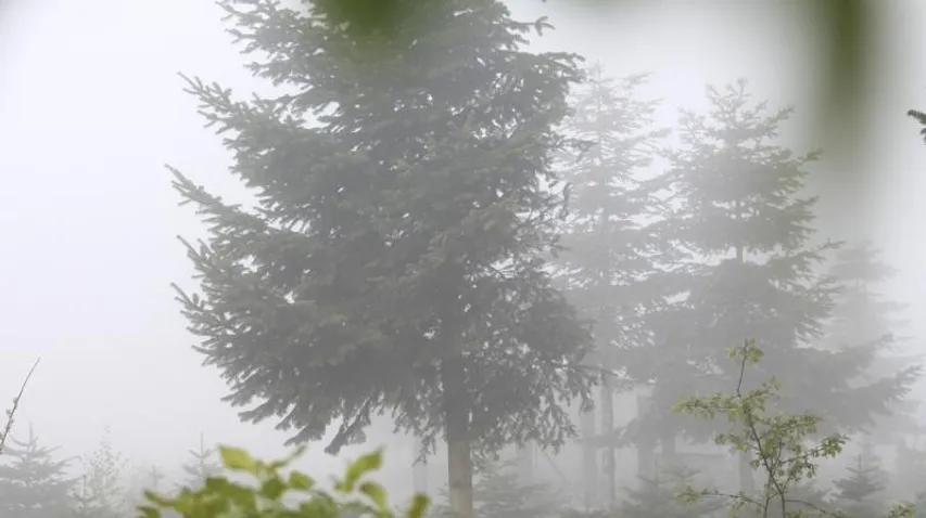 October 24, Vijayadashami day had the coolest October morning in a decade