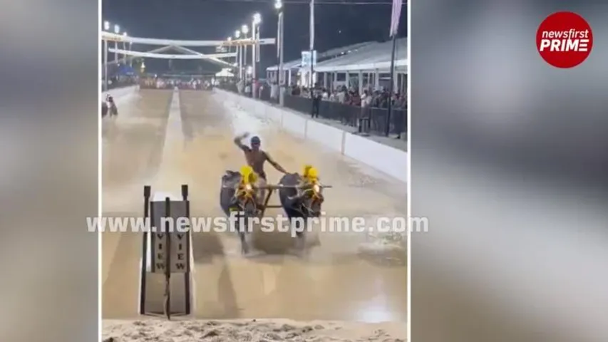 Bengaluru Kambala impresses and leaves people wanting for more!