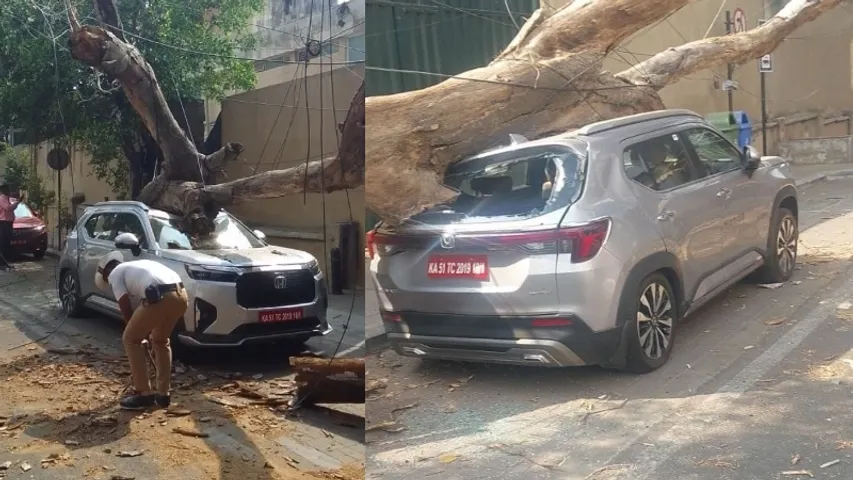 Bengaluru: 2 incidents of trees falling on vehicles reported within 1 day