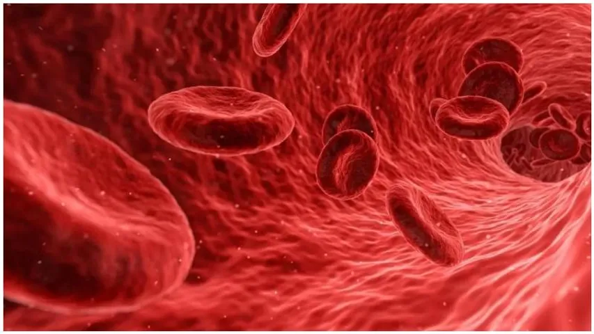 Bengaluru hosts India's first human gene therapy trial for haemophilia