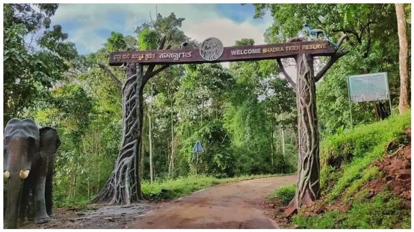 Karnataka Forest Department: Work on elephant sanctuary in Bhadra to begin soon