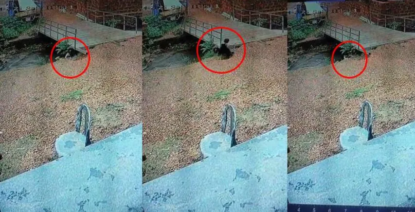 Tragedy in Bhatkal: Toddler falls into drain, loses life