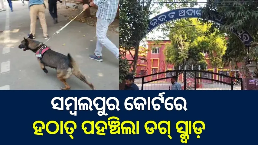 Panic in Sambalpur Court