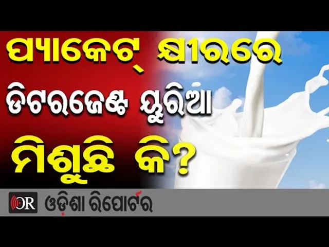 ପ୍ୟାକେଟ୍ କ୍ଷୀରରେ ଡିଟରଜେଣ୍ଟ ୟୁରିଆ ମିଶୁଛି କି?  | Odisha Reporter
