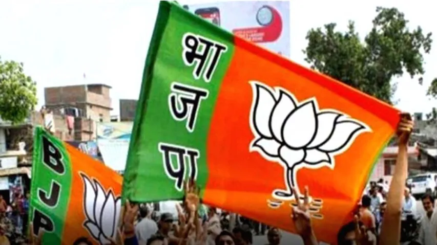 BJP Flag