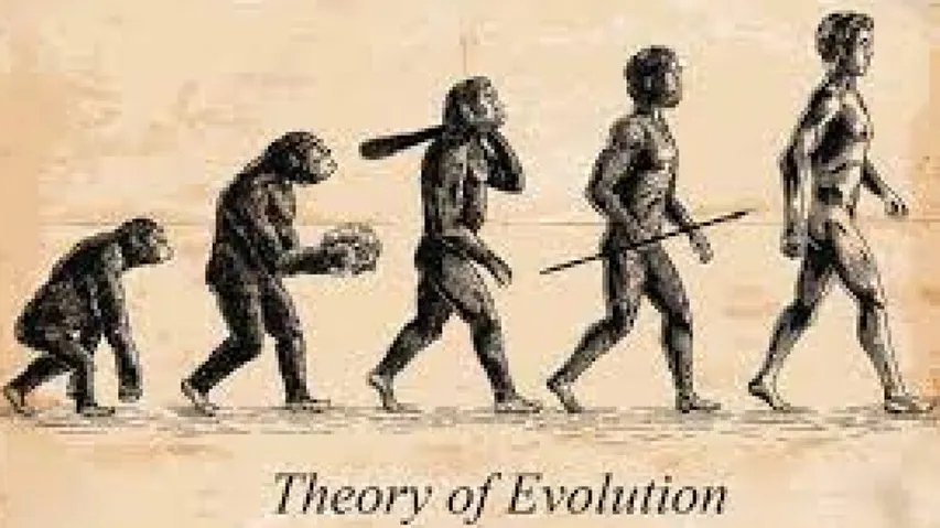 Theory Of Evolution