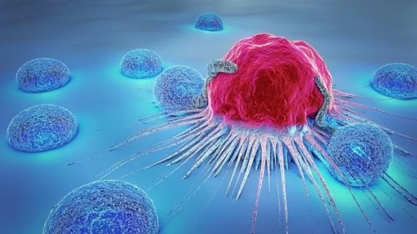 How does cancer spread in the body