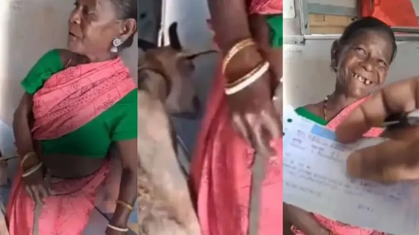 Woman and her Goat on Train 