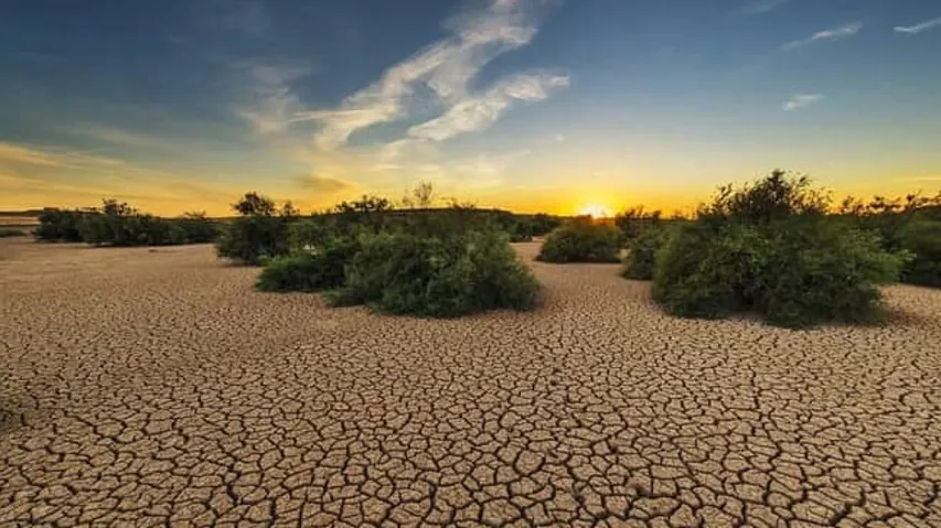 UN Report Warns India Heading Towards Groundwater Depletion 