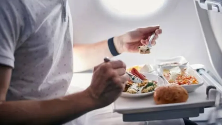 Airlines offer imported dog food to customers