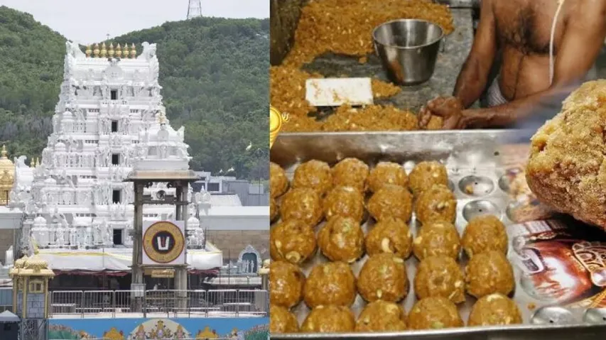 Tirupati Laddu Row