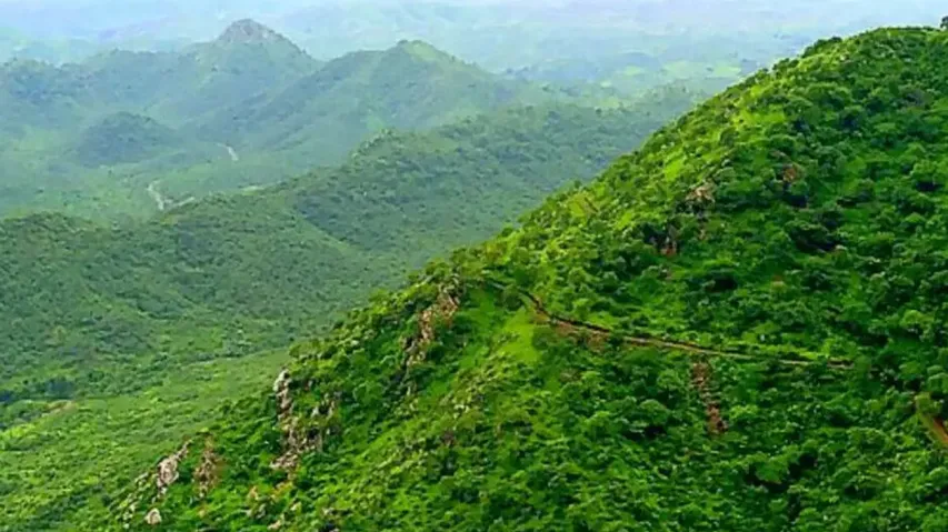 Gandhamardan Hills