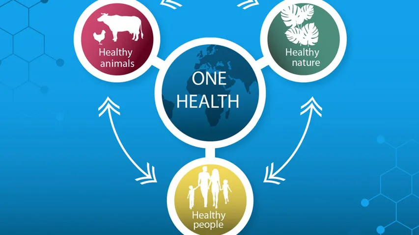 One Health