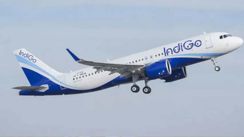 indigo 