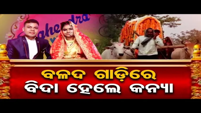 ବଳଦ ଗାଡ଼ିରେ ବିଦା ହେଲେ କନ୍ୟା