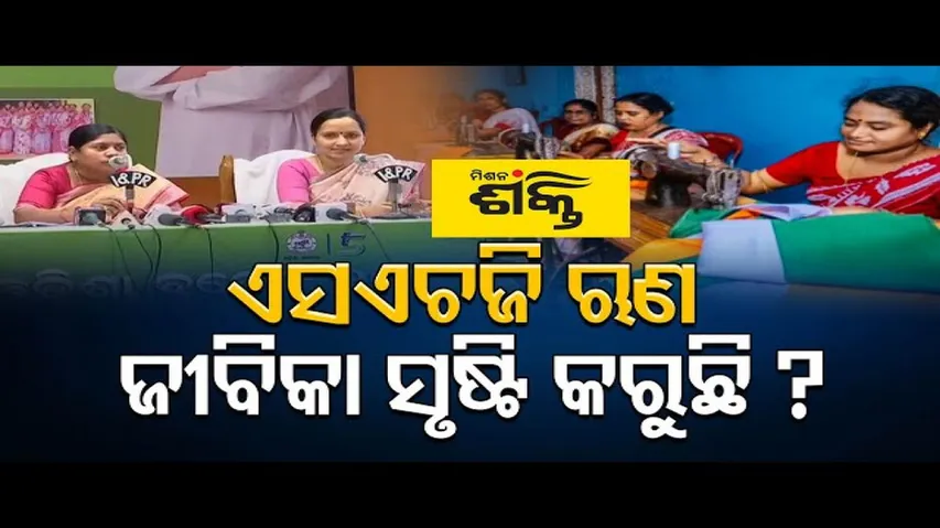 ଏସଏଚଜି ଋଣ ଜୀବିକା ସୃଷ୍ଟି କରୁଛି?