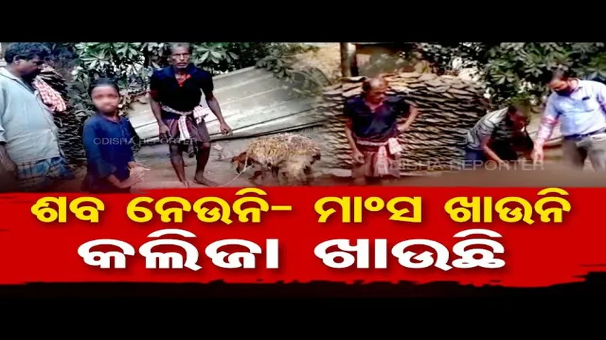 ଶବ ନେଉନି, ମାଂସ ଖାଉନି, କଲିଜା ଖାଉଛି