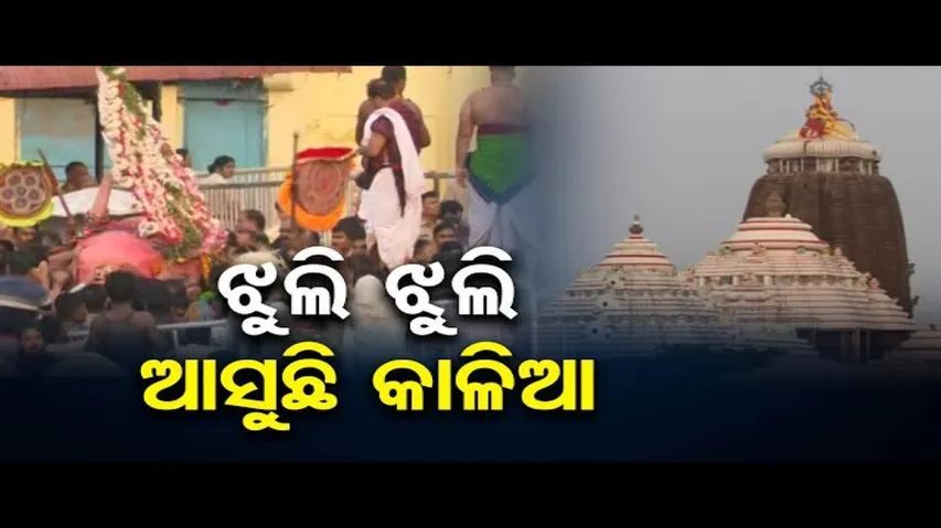 ଝୁଲି ଝୁଲି ସ୍ନାନବେଦୀକୁ ଆସିଲେ ମହାପ୍ରଭୁ ଶ୍ରୀଜଗନ୍ନାଥ