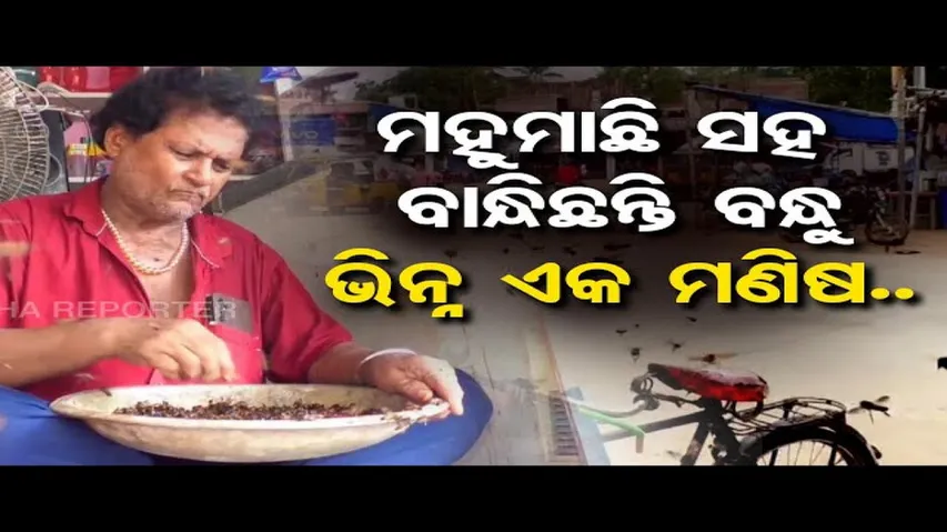 ମହୁମାଛି ସହ ବାନ୍ଧିଛନ୍ତି ବନ୍ଧୁ