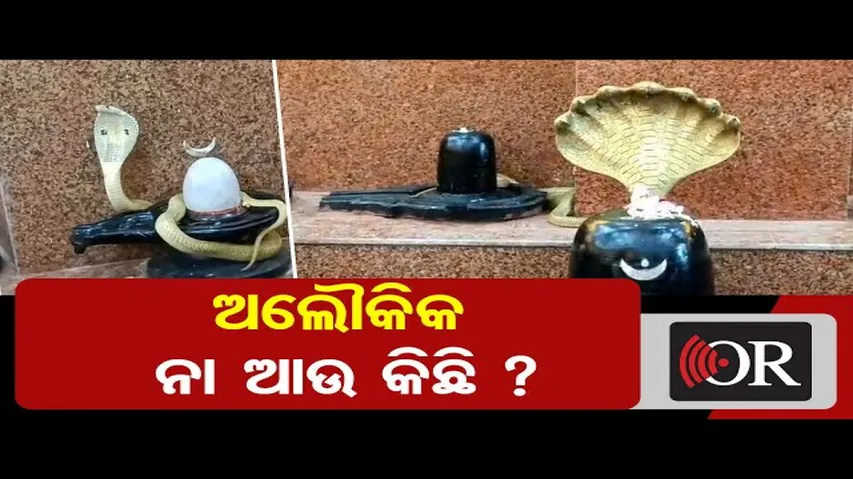 ଅଲୌକିକ ନା ଆଉ କିଛି?