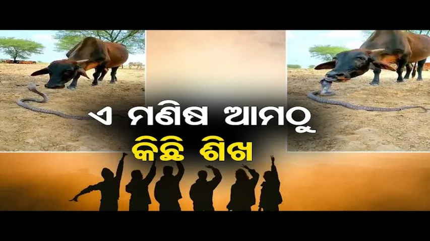 ଏ ମଣିଷ ଆମଠୁ କିଛି ଶିଖ