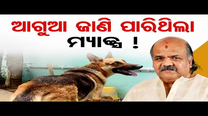 ଆଗୁଆ ଜାଣି ପାରିଥିଲା ମ୍ୟାକ୍ସ !