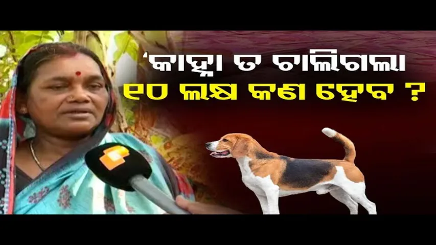 କାହ୍ନା ତ ଚାଲିଗଲା 10 ଲକ୍ଷ କଣ ହେବ ?  | Odisha Reporter