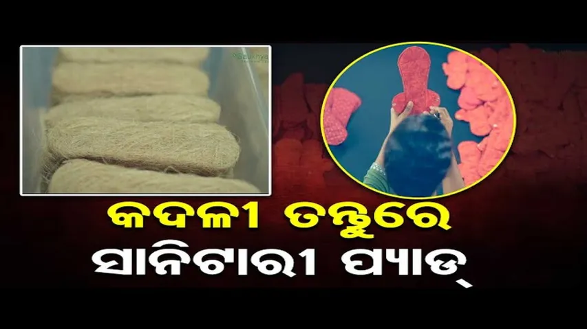 କଦଳୀ ଗଛର ତନ୍ତୁରେ ସାନିଟାରୀ ପ୍ୟାଡ୍