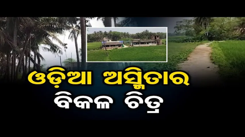 ଓଡ଼ିଆ ଅସ୍ମିତାର ବିକଳ ଚିତ୍ର