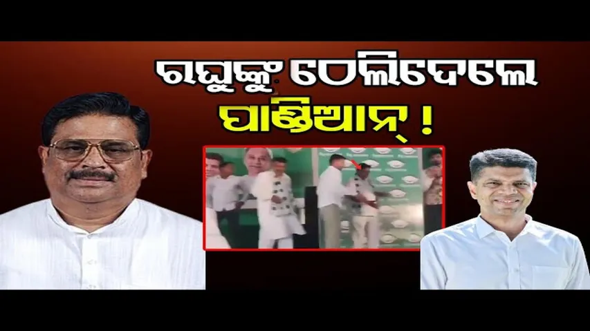 ରଘୁଙ୍କୁ ଠେଲିଦେଲେ ପାଣ୍ଡିଆନ୍ !| Khordha Election Campaign |VK Pandian |BJD MLA Candidate Raghu Sahoo |