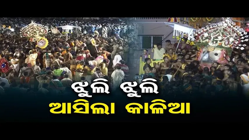 ଝୁଲି ଝୁଲି ଆସିଲା କାଳିଆ | Odisha Reporter