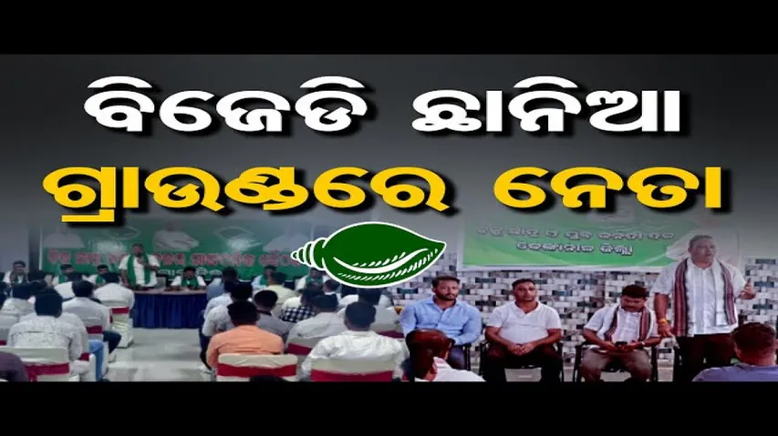 ବିଜେଡି ଛାନିଆ, ଗ୍ରାଉଣ୍ଡରେ ନେତା
