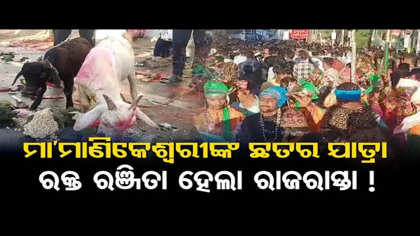 ମା' ମାଣିକେଶ୍ୱରୀଙ୍କ ପ୍ରସିଦ୍ଧ ଛତର ଯାତ୍ରା, ରକ୍ତ ରଞ୍ଜିତା ହେଲା ରାଜରାସ୍ତା !
