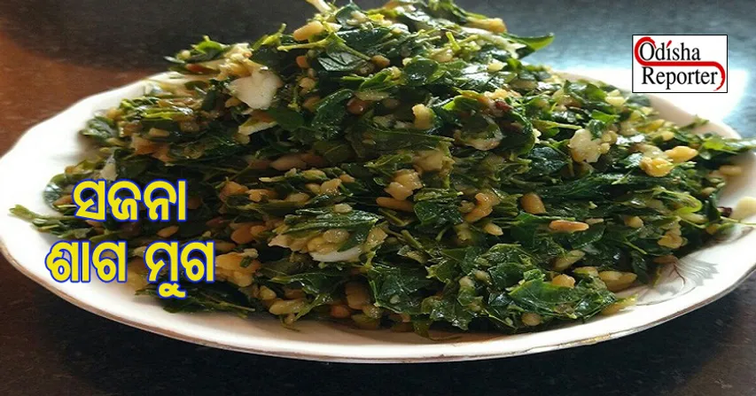 ଘରେ ସଜନା ଶାଗ ମୁଗ ପ୍ରସ୍ତୁତ କରି ଦହି ପଖାଳର ମଜା ଉଠାନ୍ତୁ