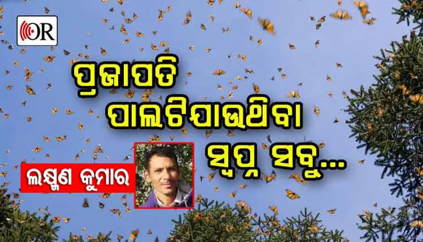 ସଁବାଳୁଆରୁ ପ୍ରଜାପତି ପାଲଟୁଥିବା ସ୍ୱପ୍ନ ସବୁ