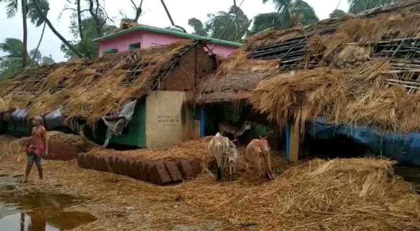 କୁଆଡ଼େ ଗଲେ ଭାଇଜାନ୍, କିଙ୍ଗ୍ ଖାନ୍ ?