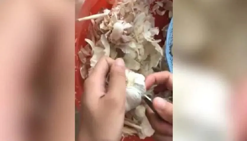 ରସୁଣରୁ ଚୋପା ଛଡ଼ାଇବାର ମଜାଦାର ଉପାୟ, ଆପଣ ଚେଷ୍ଟା କରି ଦେଖିଲେଣି କି?